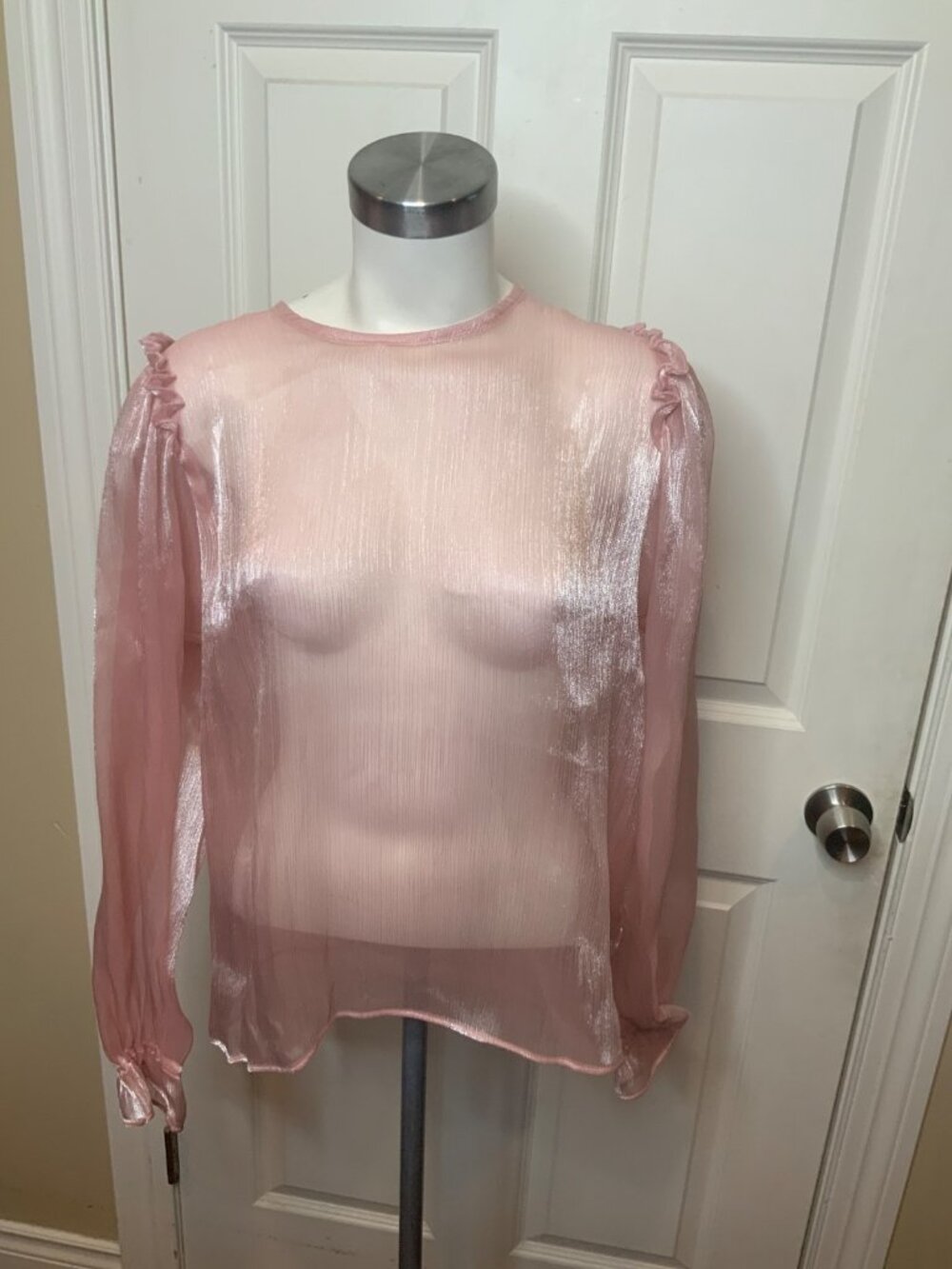Free People Shimmering Pink Freya Frost Sheer Ruffle Top NWT $98, Size M